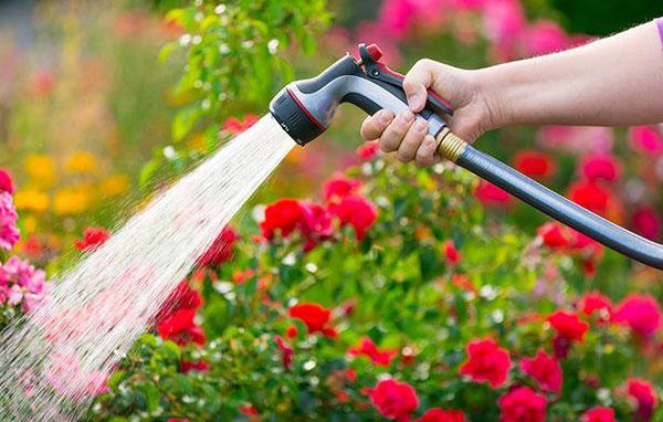 Garden watering